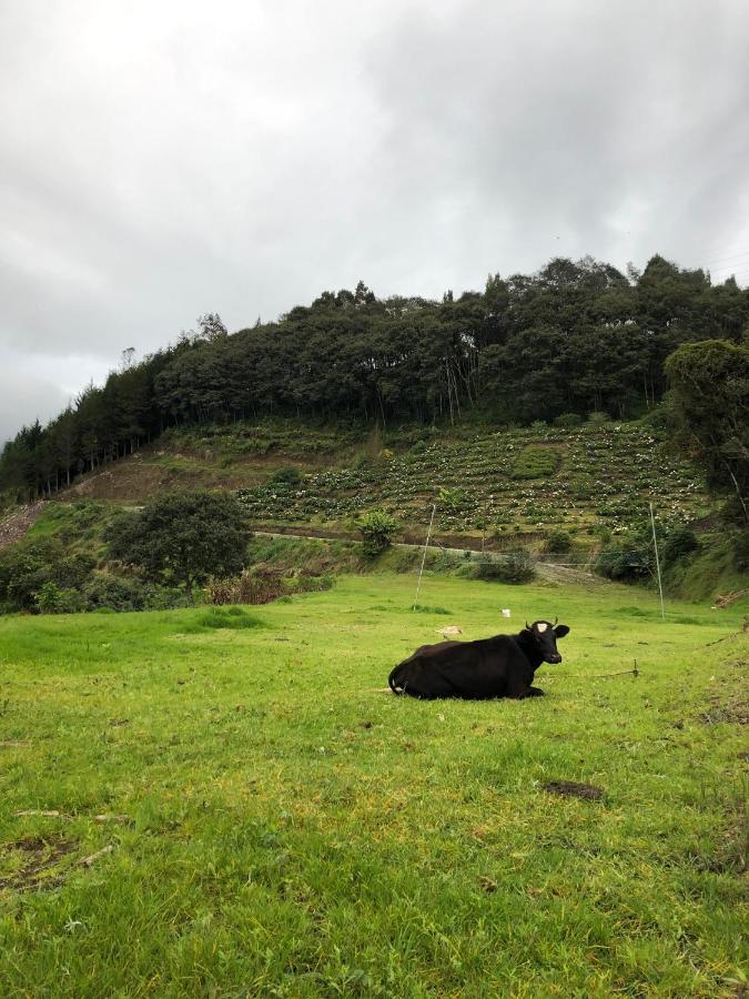 Premium Holiday Cabin - Spectacular Tungurahua Volcano View Banos  Exterior photo